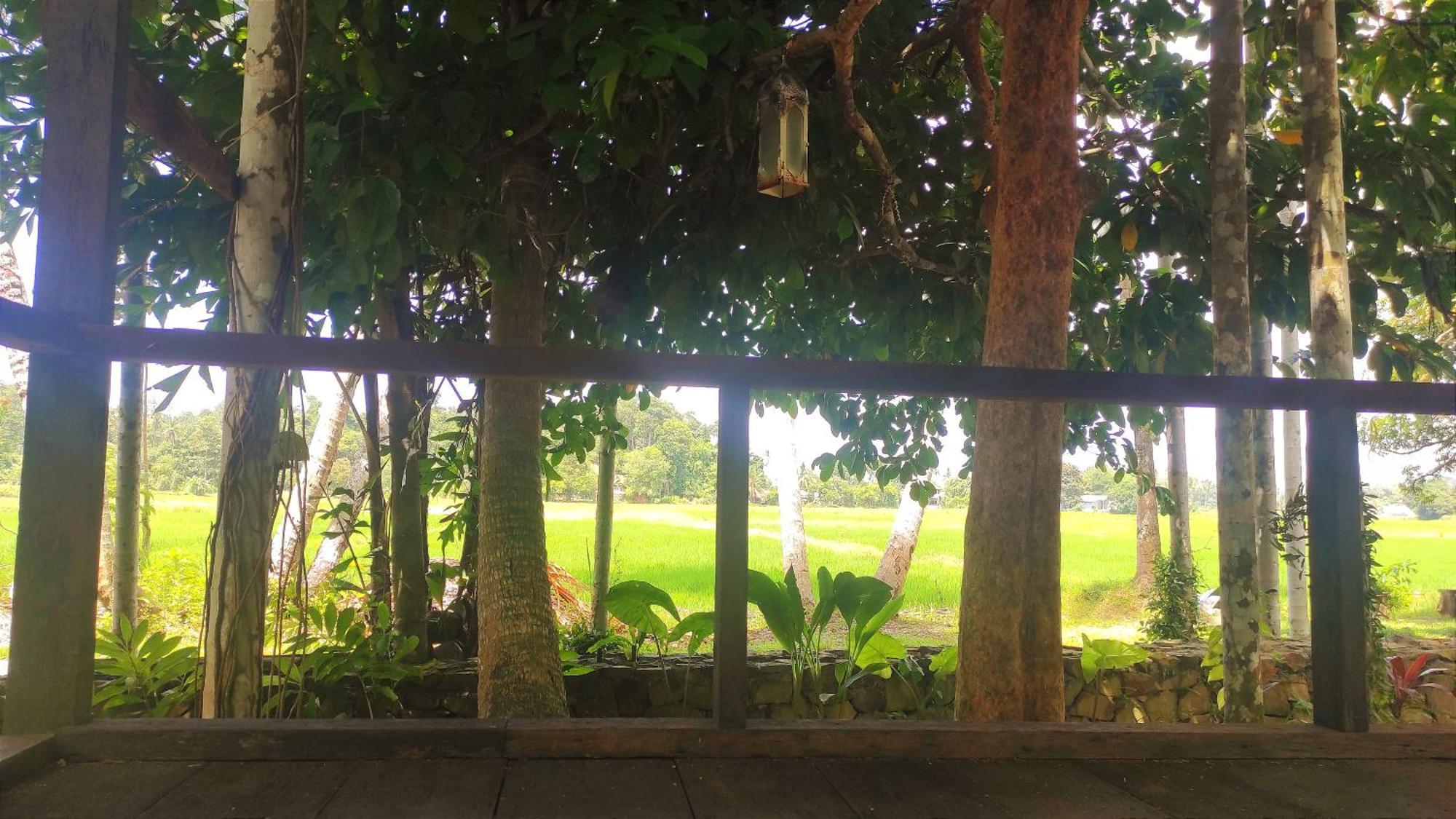 S'Ekar Pinang Langkawi Bed & Breakfast Pantai Cenang  Eksteriør bilde