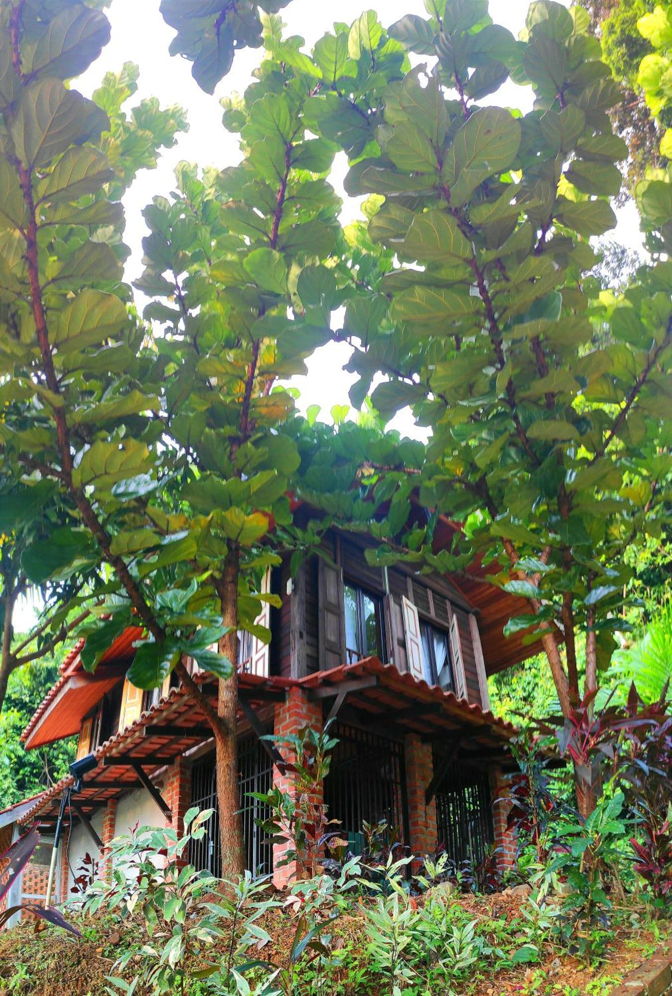 S'Ekar Pinang Langkawi Bed & Breakfast Pantai Cenang  Eksteriør bilde