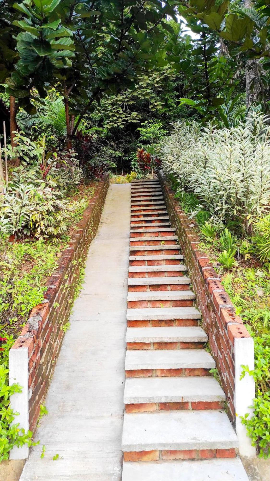S'Ekar Pinang Langkawi Bed & Breakfast Pantai Cenang  Eksteriør bilde