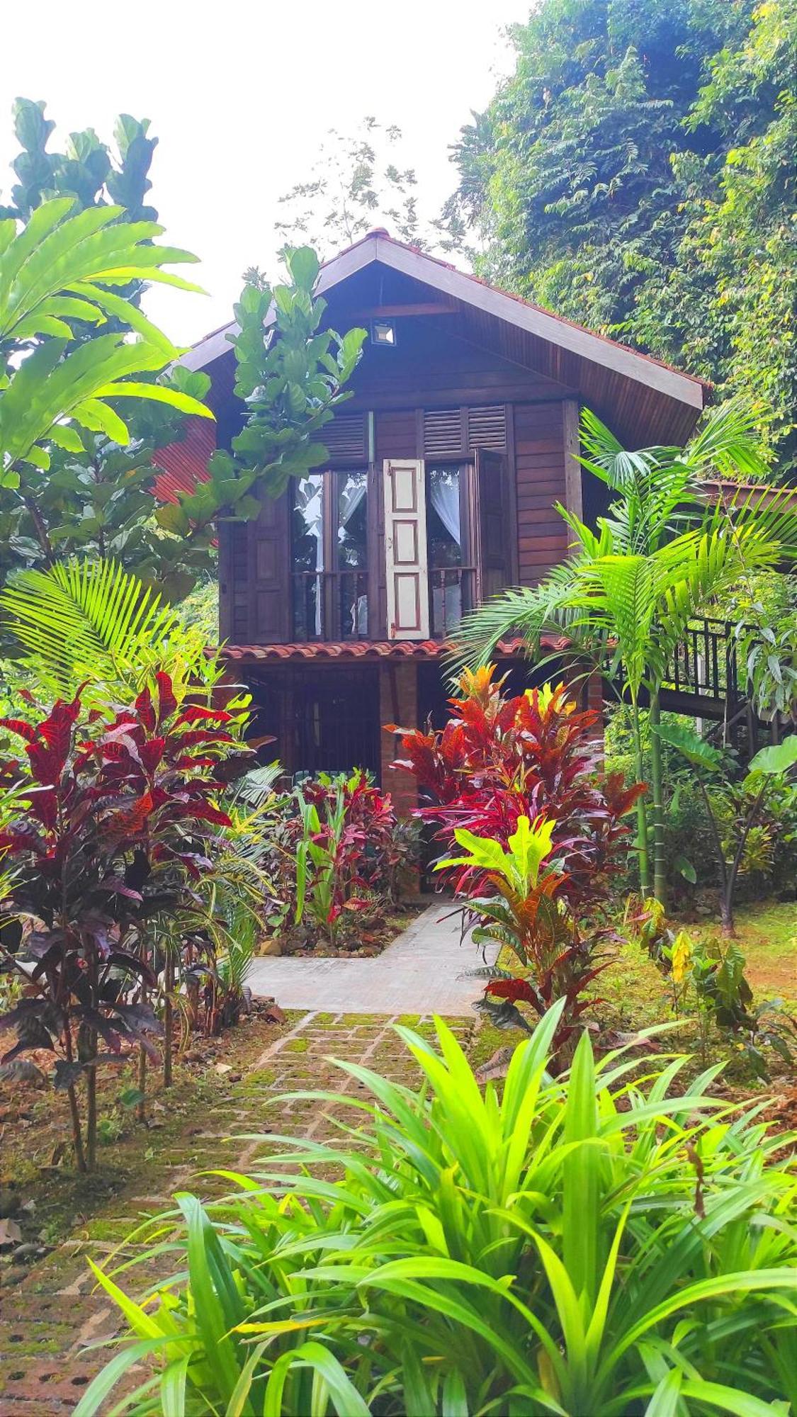 S'Ekar Pinang Langkawi Bed & Breakfast Pantai Cenang  Eksteriør bilde
