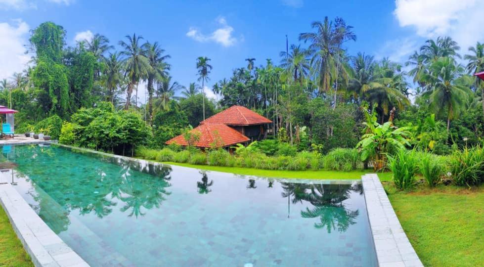 S'Ekar Pinang Langkawi Bed & Breakfast Pantai Cenang  Eksteriør bilde